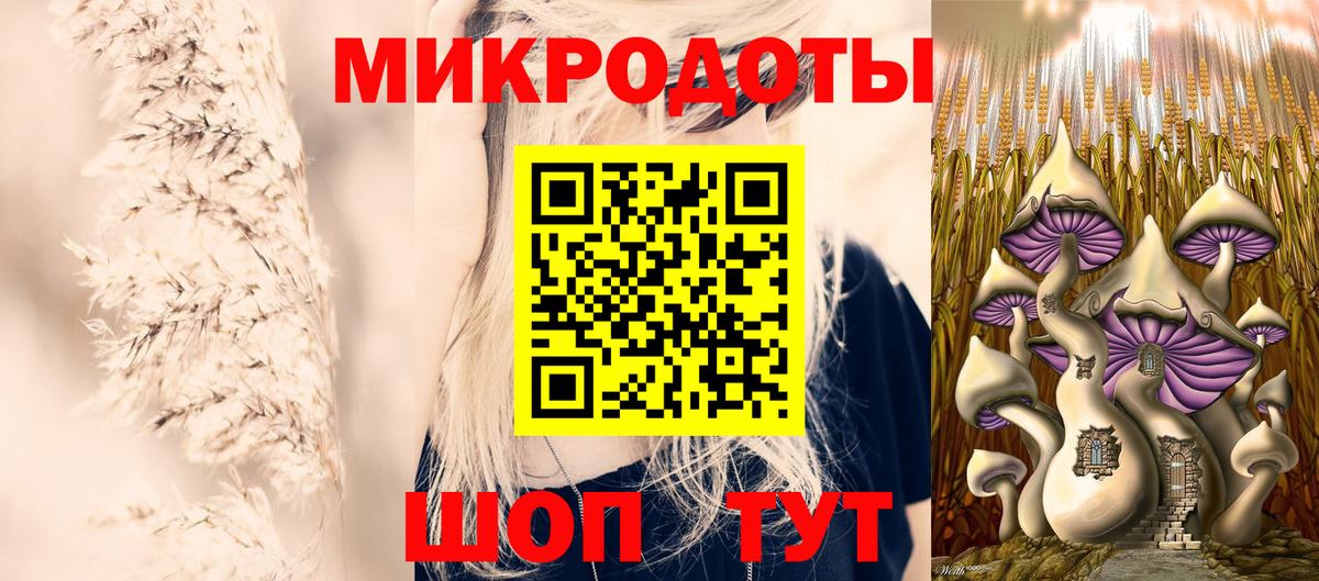 Псилоцибиновые грибы GOLDEN TEACHER Губкин