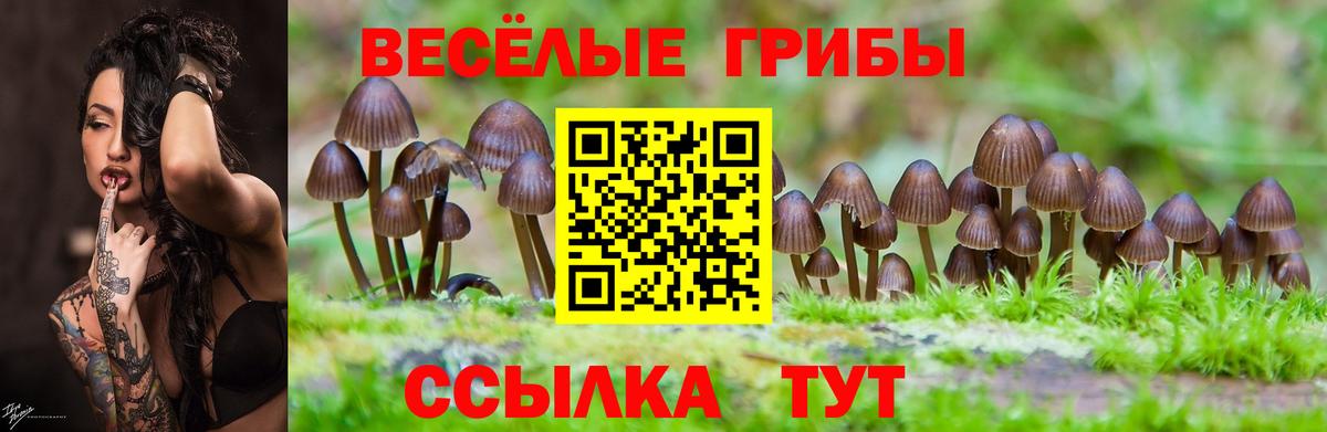Галлюциногенные грибы MAGIC MUSHROOMS  Вход с VPN  Губкин 